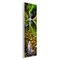 Stupell Industries Clear Stream Waterfall Photography Wall Plaque Art